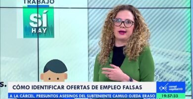 ¿Cómo identificar ofertas falsas en equipaje de mano?