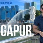 Qué hacer en Singapur si vas solo