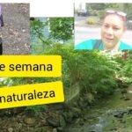 Ideas de fin de semana cerca de la naturaleza