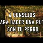 Rutas para caminar con perros en la naturaleza