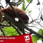 Aventura en Armenia: actividades para amantes de la naturaleza