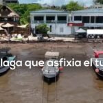Turismo de aventura en playas del Caribe Mexicano