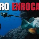 Dónde bucear en playas del Pacífico peruano