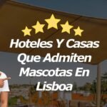 Hoteles pet friendly en Lisboa