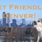 Hoteles pet friendly en Mónaco