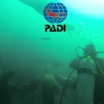 Dónde bucear en playas del Pacífico peruano