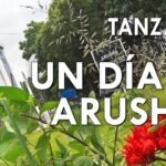 Qué ver en Arusha